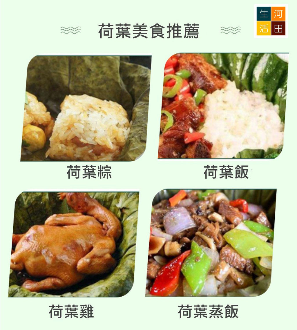 圓形乾荷葉整張(30cm10張)│天然荷葉│荷葉食品