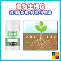 植物生根粉 插枝法生根激素 花卉植苗移植生根刺激劑