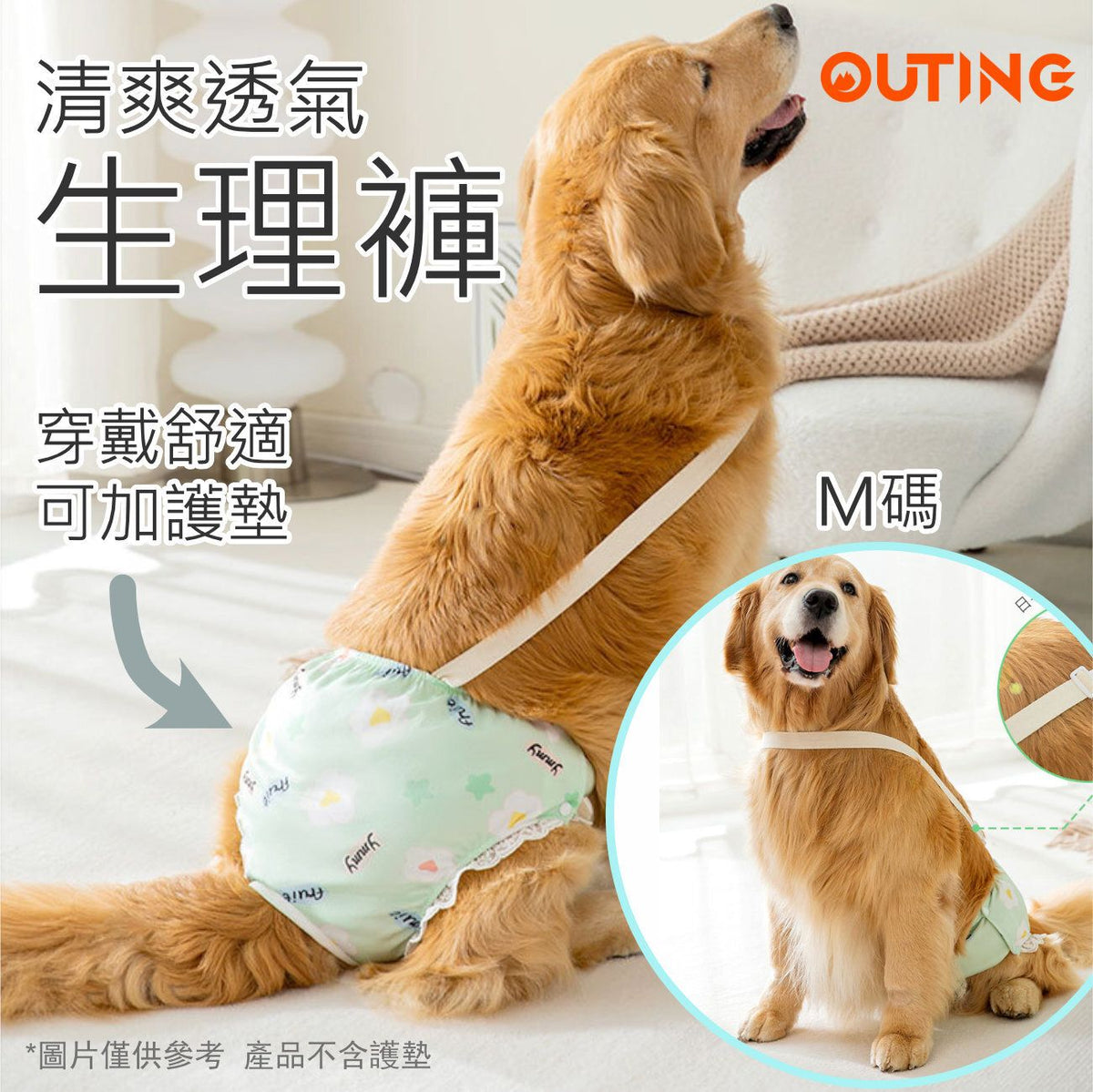 狗狗清爽透氣生理褲(中碼)│透氣狗狗尿布│舒適透氣生理褲│狗狗護理褲