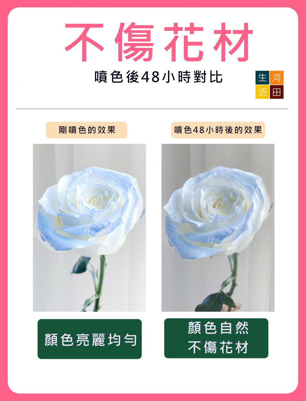 THEAOSON 鮮花永生花彩色噴劑 (薔薇粉 450ml Stock Code 872303)│香皂花染色劑│色彩噴劑│花藝彩繪噴劑│鮮花彩妝│染色噴霧│不含腐蝕性│零甲醛│
