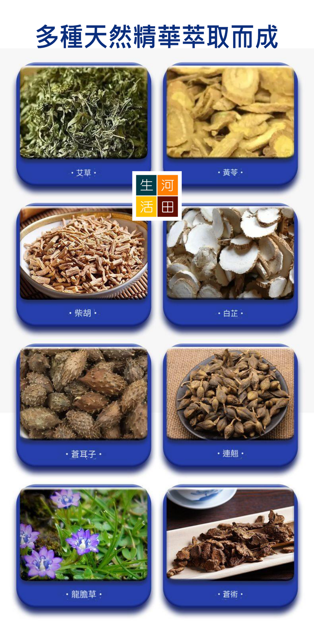 日本森田藥業耳康貼|耳鳴穴位貼(12片)|緩解耳鳴症狀|改善聽力障礙|舒緩耳部不適