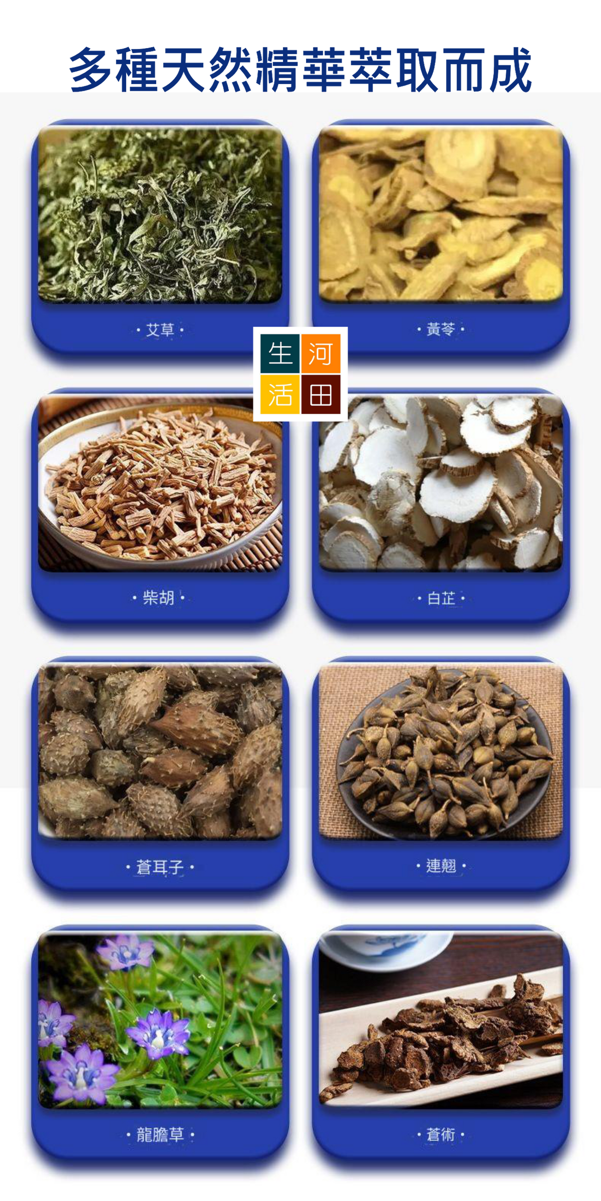 日本森田藥業耳康貼|耳鳴穴位貼(12片)|緩解耳鳴症狀|改善聽力障礙|舒緩耳部不適