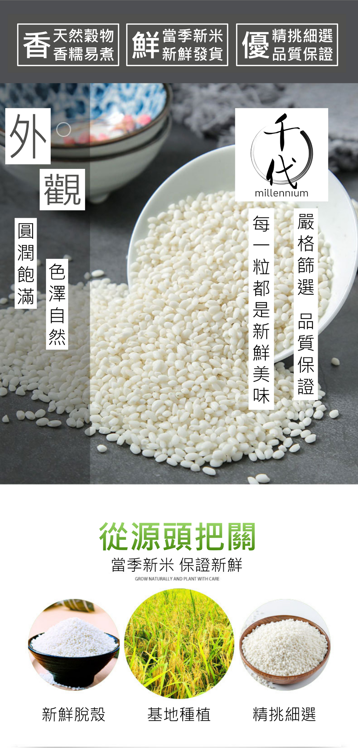 圓糯米(真空包裝)(500G)│補中益氣  健脾養胃│五穀雜糧