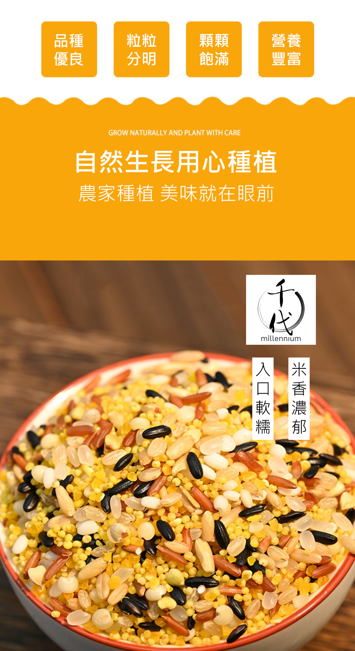 十色米(真空包裝)(500g)│高纖低熱量 有助腸道健康│五穀雜糧