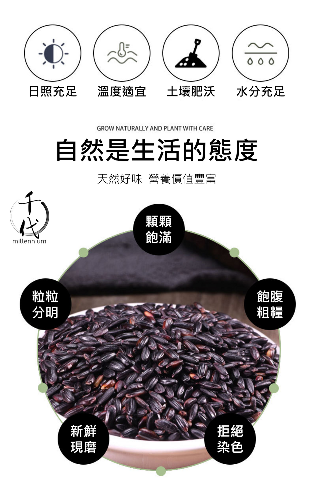 黑米(真空包裝)(500g)│補腎健脾 明目活血│五穀雜糧