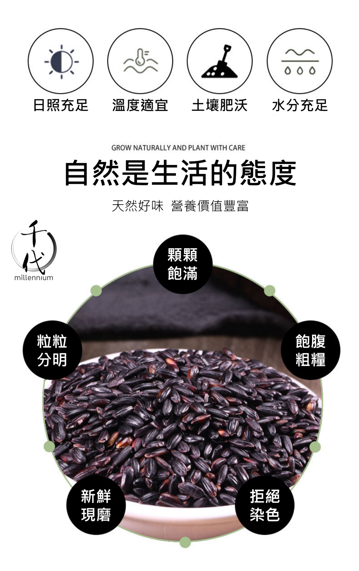 黑米(真空包裝)(500g)│補腎健脾 明目活血│五穀雜糧