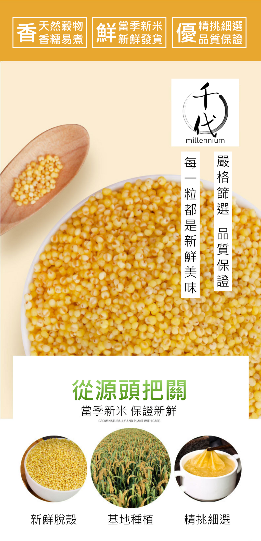 小黃米(真空包裝)(500G)│滋陰養血 健胃除濕│五穀雜糧