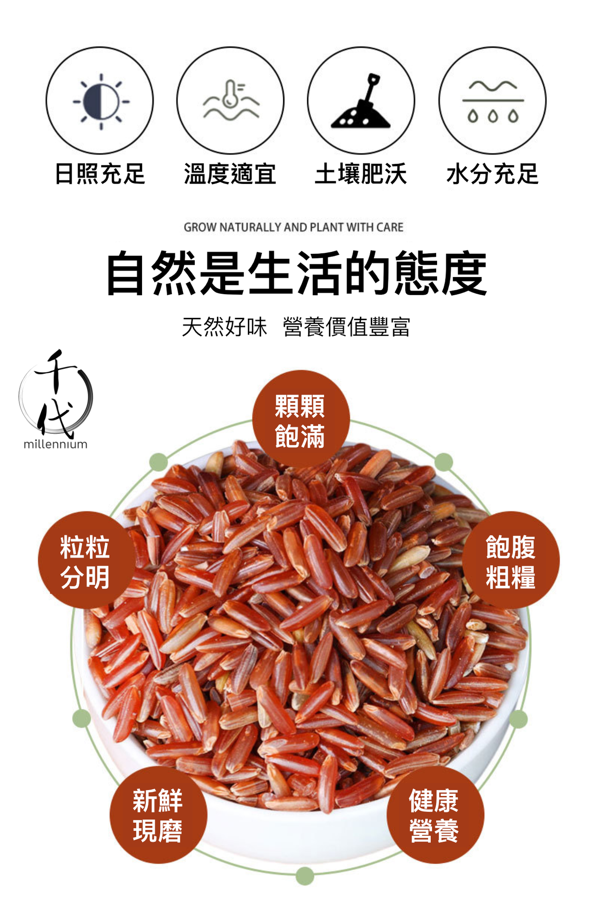紅米(真空包裝)(500G)│活血化瘀 健脾消食│五穀雜糧