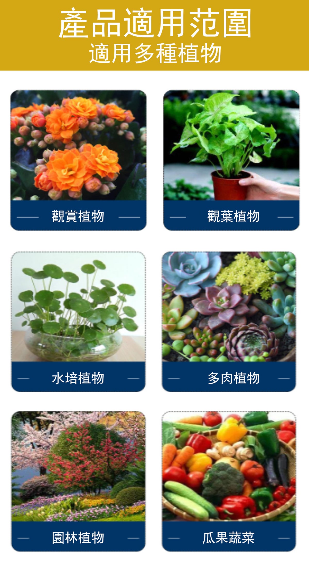 家庭園藝植物生根粉|移植生根粉末|扦插快速增強劑|植物通用發根劑|強力花卉壯苗劑|植物營養粉|植物生長催化劑|強效植物生長促進劑 (10g)
