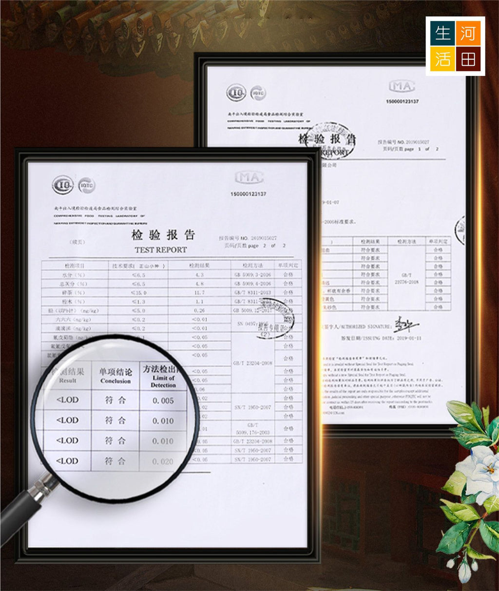 茉莉花茶(500G)│優質茶葉│抗氧化│有助消化