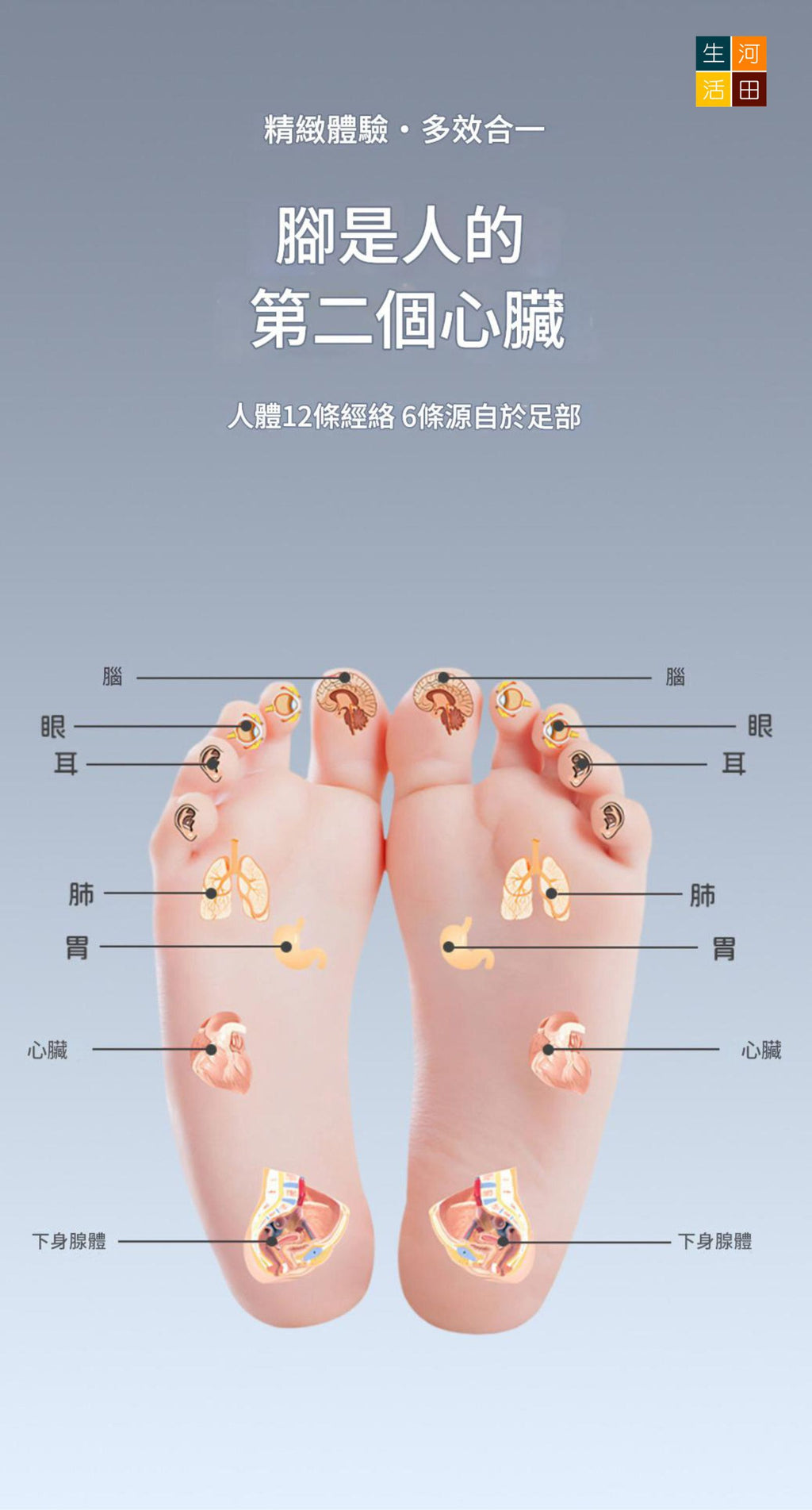 腳板指壓按摩板(滾輪款式│米色)│家用按摩│腳底穴位按摩器│通經絡腳踩板│滾輪足底按摩腳墊