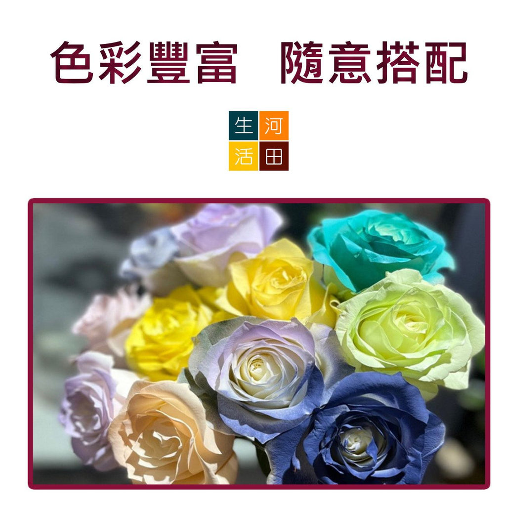 THEAOSON 鮮花永生花彩色噴劑 (薔薇粉 450ml Stock Code 872303)│香皂花染色劑│色彩噴劑│花藝彩繪噴劑│鮮花彩妝│染色噴霧│不含腐蝕性│零甲醛│