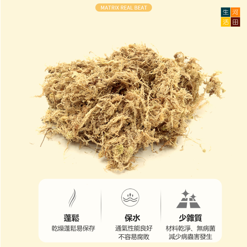 蝴蝶蘭水苔150g|乾苔蘭花專用營養土|園藝植料|微觀盆景素材