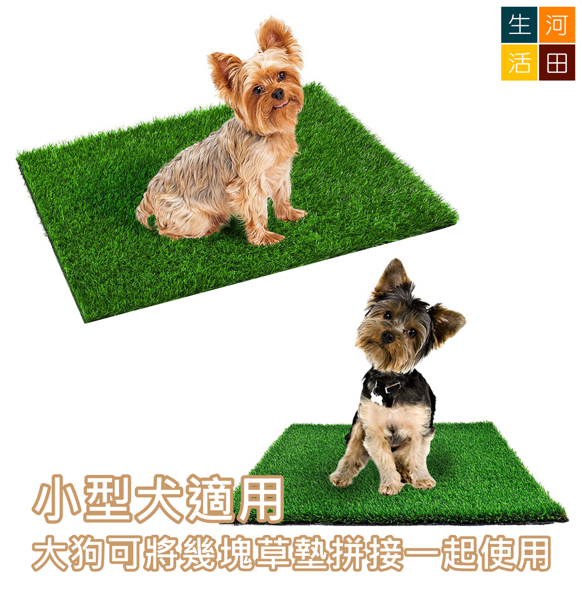 仿草皮寵物尿墊|人造草坪狗廁所|訓練狗狗定點如厠|小狗適用
