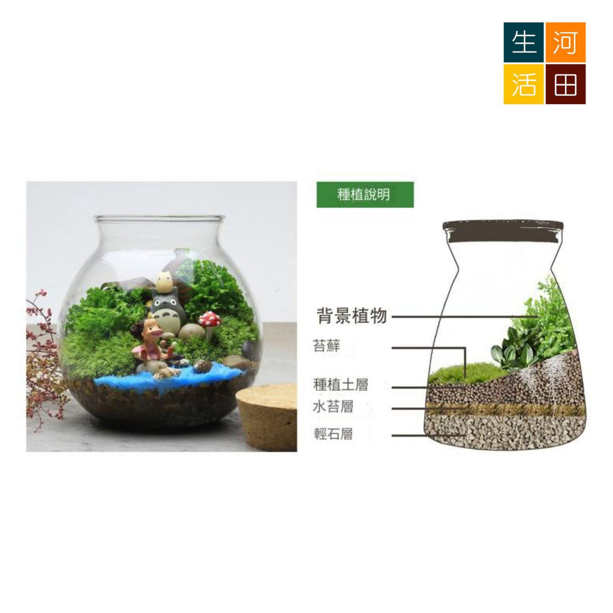 微景觀專用營養土2L裝