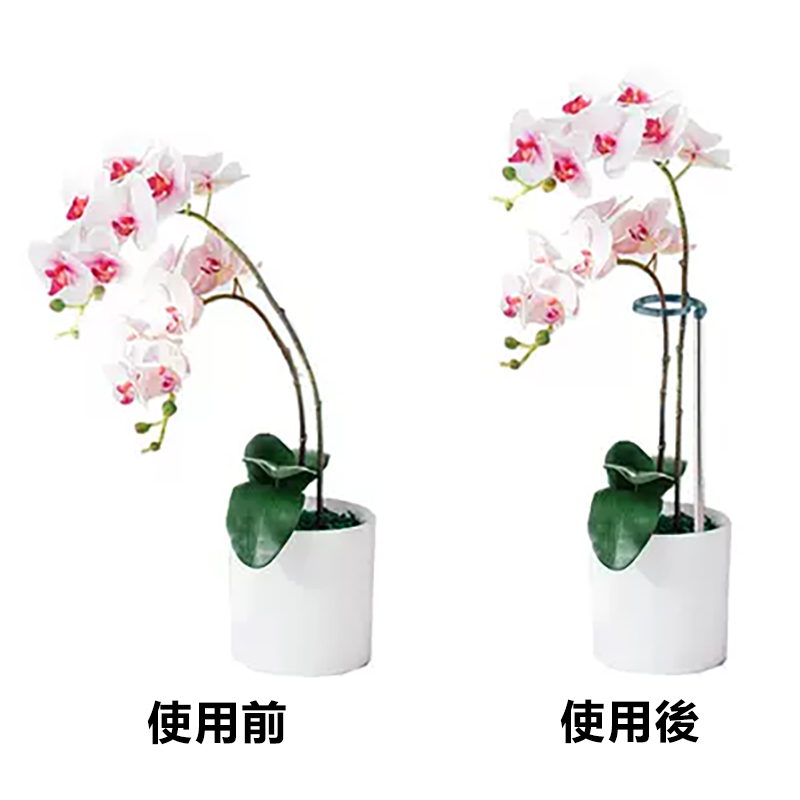 蝴蝶蘭/盆景支架 植物支撐桿 多肉植物防倒固型花架 不鏽鋼伸縮花支柱 (小17-28cm)