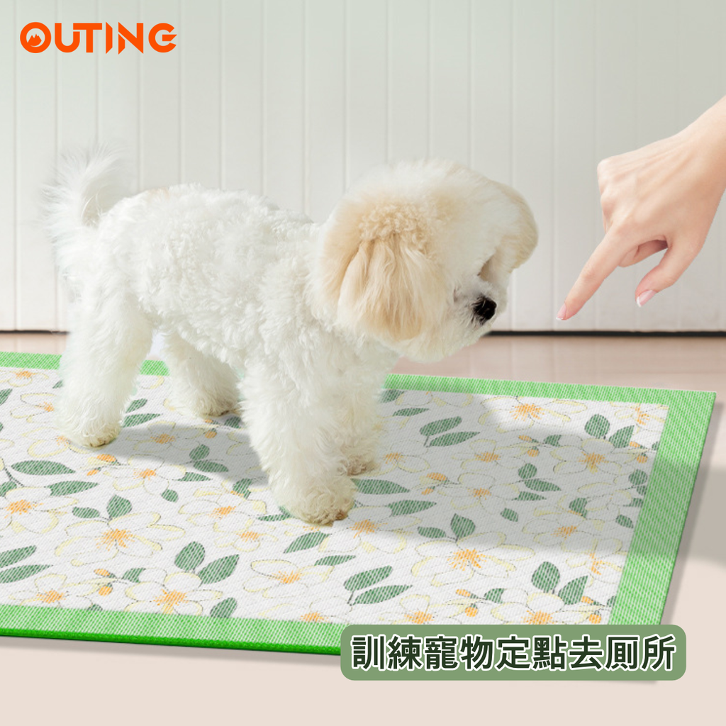 寵物尿墊(M碼|50片 45*60cm 適合中小型寵物)|貓狗吸水尿布 拋棄式狗尿片 山茶花香 除臭