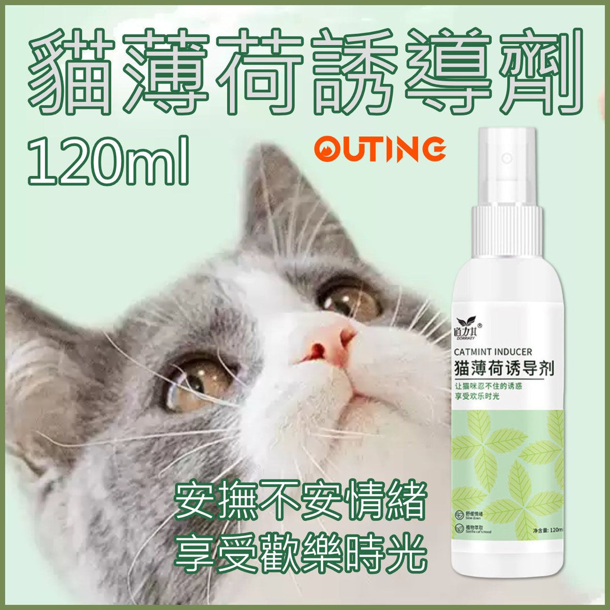 貓薄荷誘惑噴劑│玩具噴劑│薄荷噴霧│訓練噴霧│吸貓神器