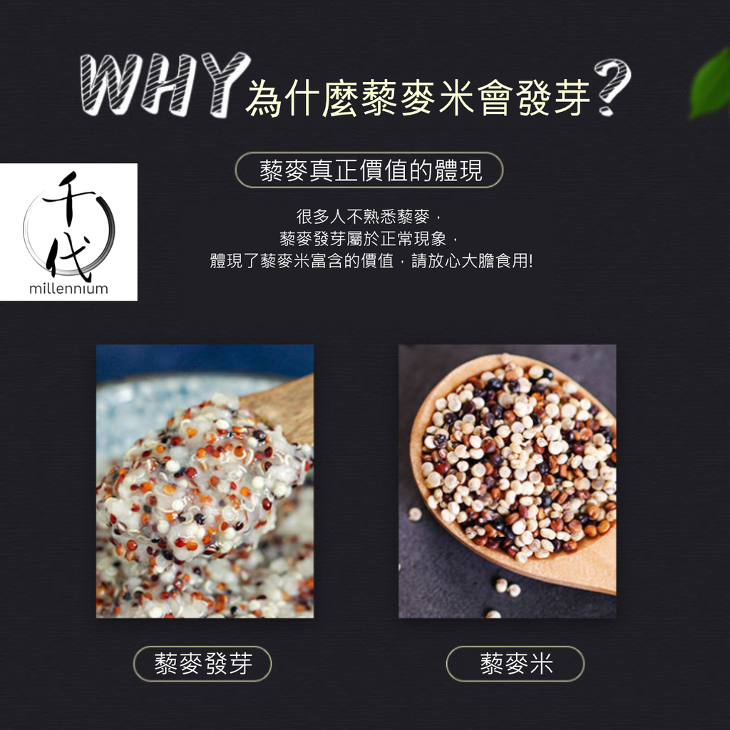 三色藜麥(真空包裝)(500g)│保持心血管健康│五穀雜糧 |生酮減肥 素食低升糖 紅藜麥 黑藜麥 白藜麥