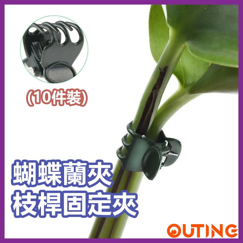 蝴蝶蘭夾 蘭花夾 枝桿支撑固定夾 藤蔓植物固定器 園藝專用夾 (一套10個)
