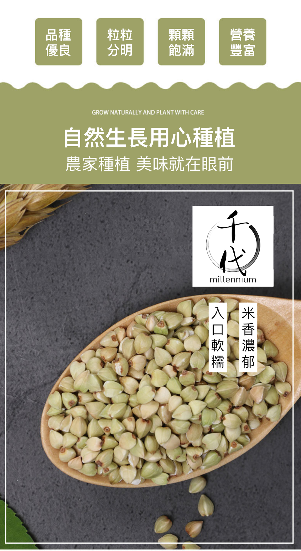 蕎麥米(真空包裝)(500G)│健脾益氣 開胃寬腸│五穀雜糧