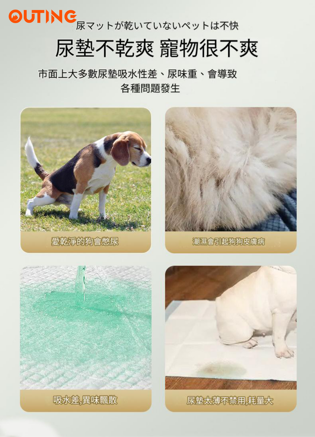 寵物尿墊(M碼|50片 45*60cm 適合中小型寵物)|貓狗吸水尿布 拋棄式狗尿片 山茶花香 除臭