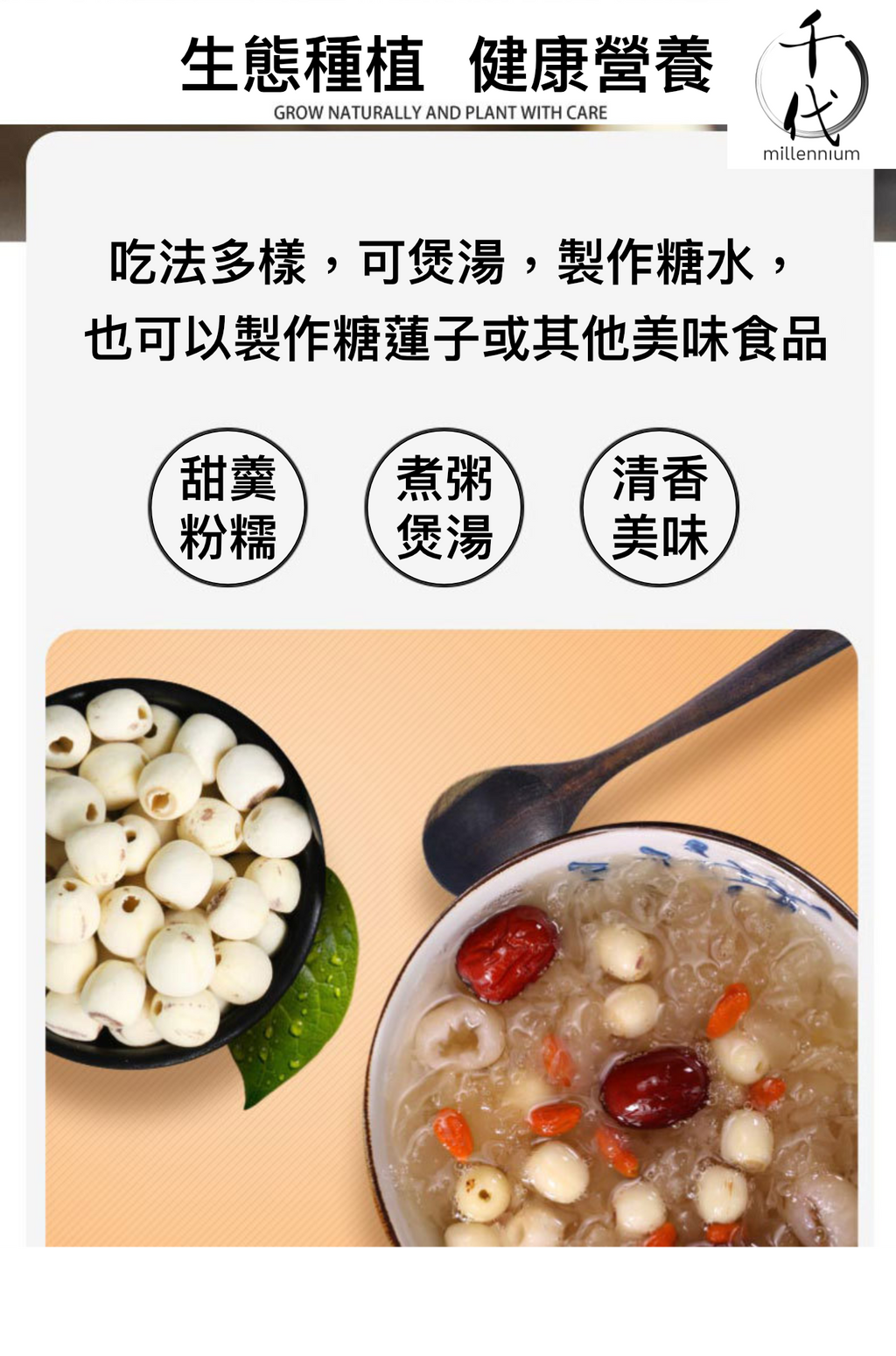 原粒白蓮子(330G)│補益脾胃 清心助眠 精治腎虛