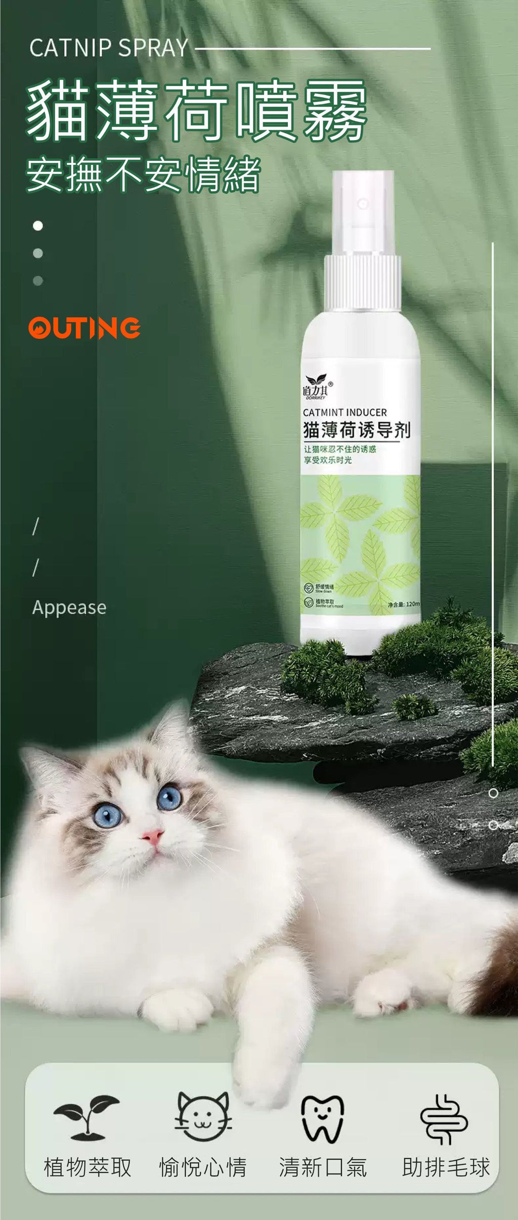 貓薄荷誘惑噴劑│玩具噴劑│薄荷噴霧│訓練噴霧│吸貓神器