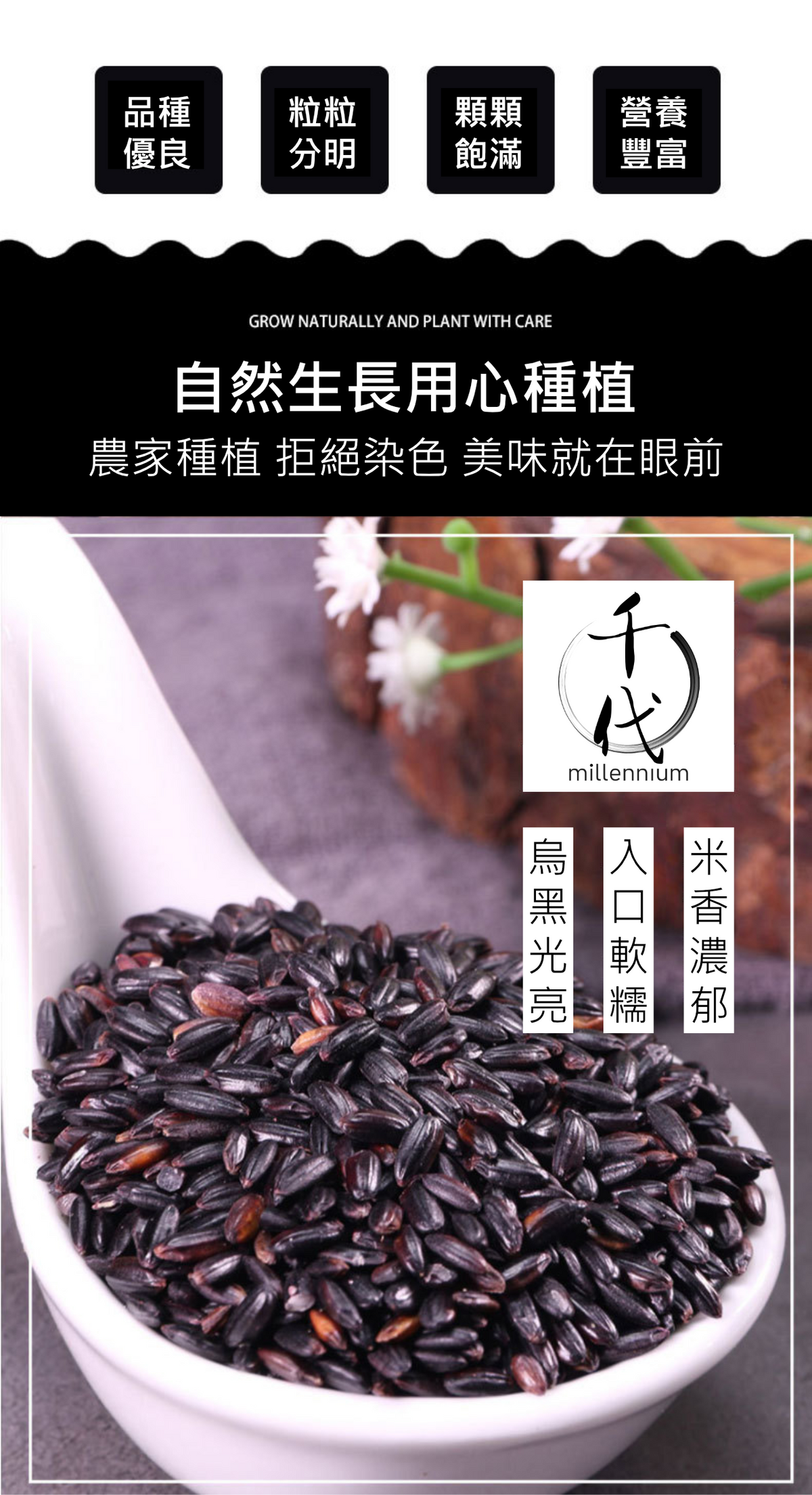 黑米(真空包裝)(500g)│補腎健脾 明目活血│五穀雜糧