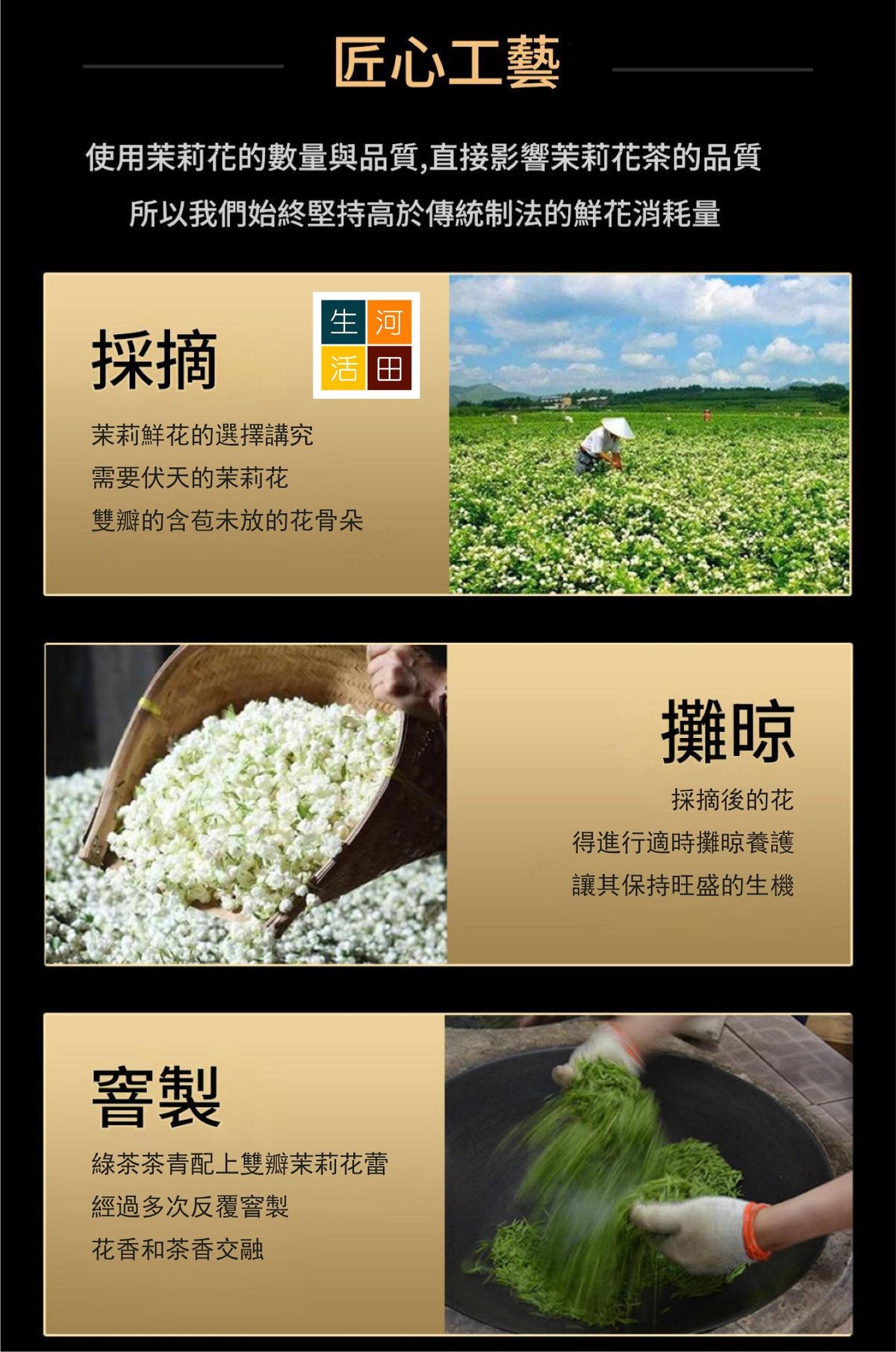 茉莉花茶(500G)│優質茶葉│抗氧化│有助消化