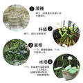 家庭園藝植物生根粉|移植生根粉末|扦插快速增強劑|植物通用發根劑|強力花卉壯苗劑|植物營養粉|植物生長催化劑|強效植物生長促進劑 (10g)