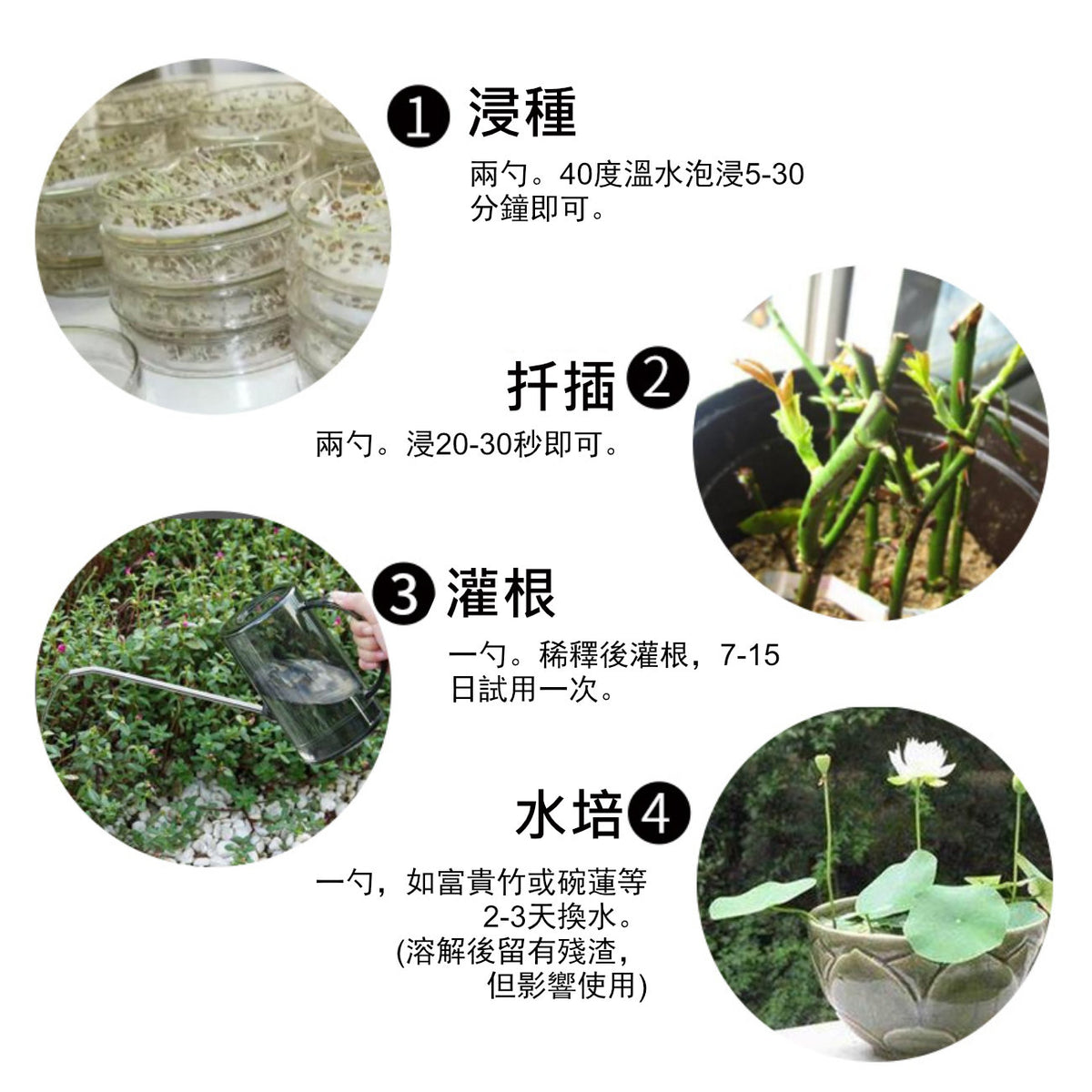 家庭園藝植物生根粉|移植生根粉末|扦插快速增強劑|植物通用發根劑|強力花卉壯苗劑|植物營養粉|植物生長催化劑|強效植物生長促進劑 (10g)