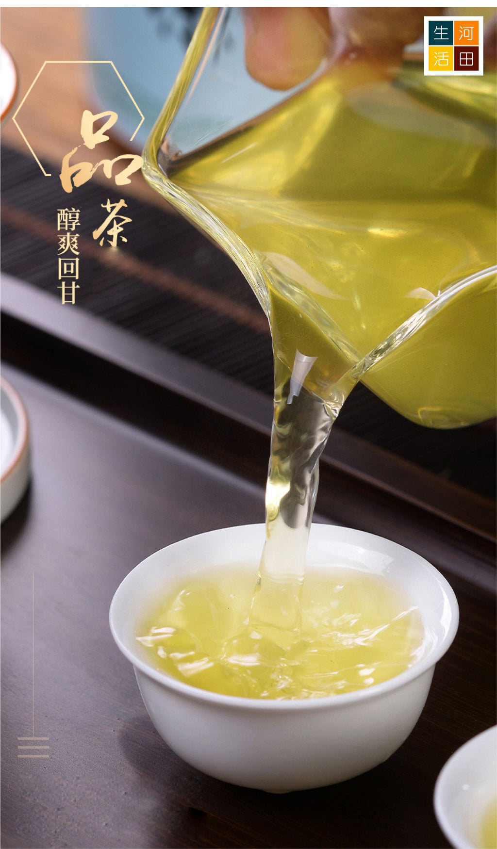茉莉花茶(500G)│優質茶葉│抗氧化│有助消化