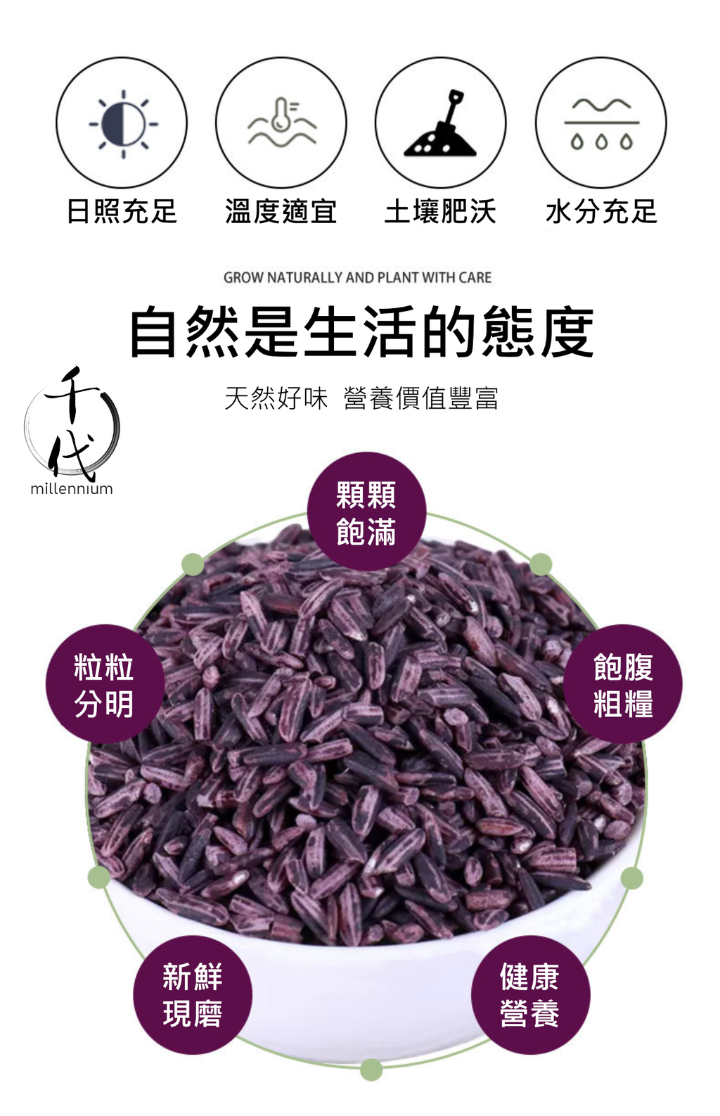 紫米(真空包裝)(500g)│滋陰補腎 健脾暖肝│五穀雜糧