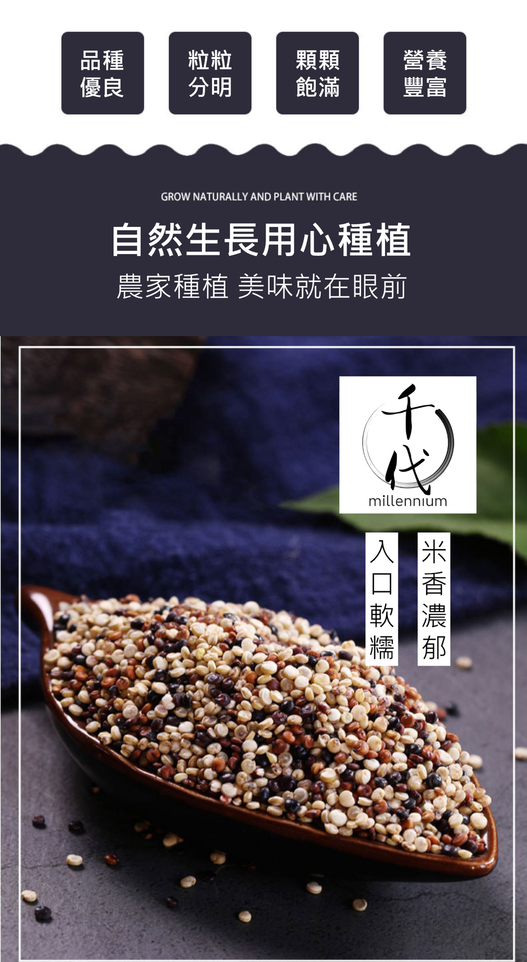 三色藜麥(真空包裝)(500g)│保持心血管健康│五穀雜糧 |生酮減肥 素食低升糖 紅藜麥 黑藜麥 白藜麥