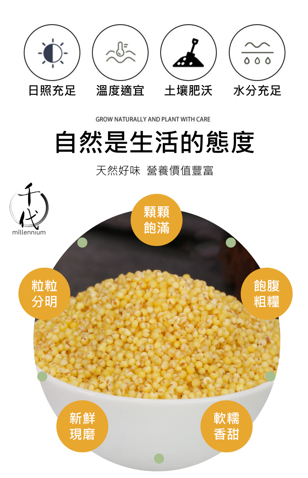 小黃米(真空包裝)(500G)│滋陰養血 健胃除濕│五穀雜糧
