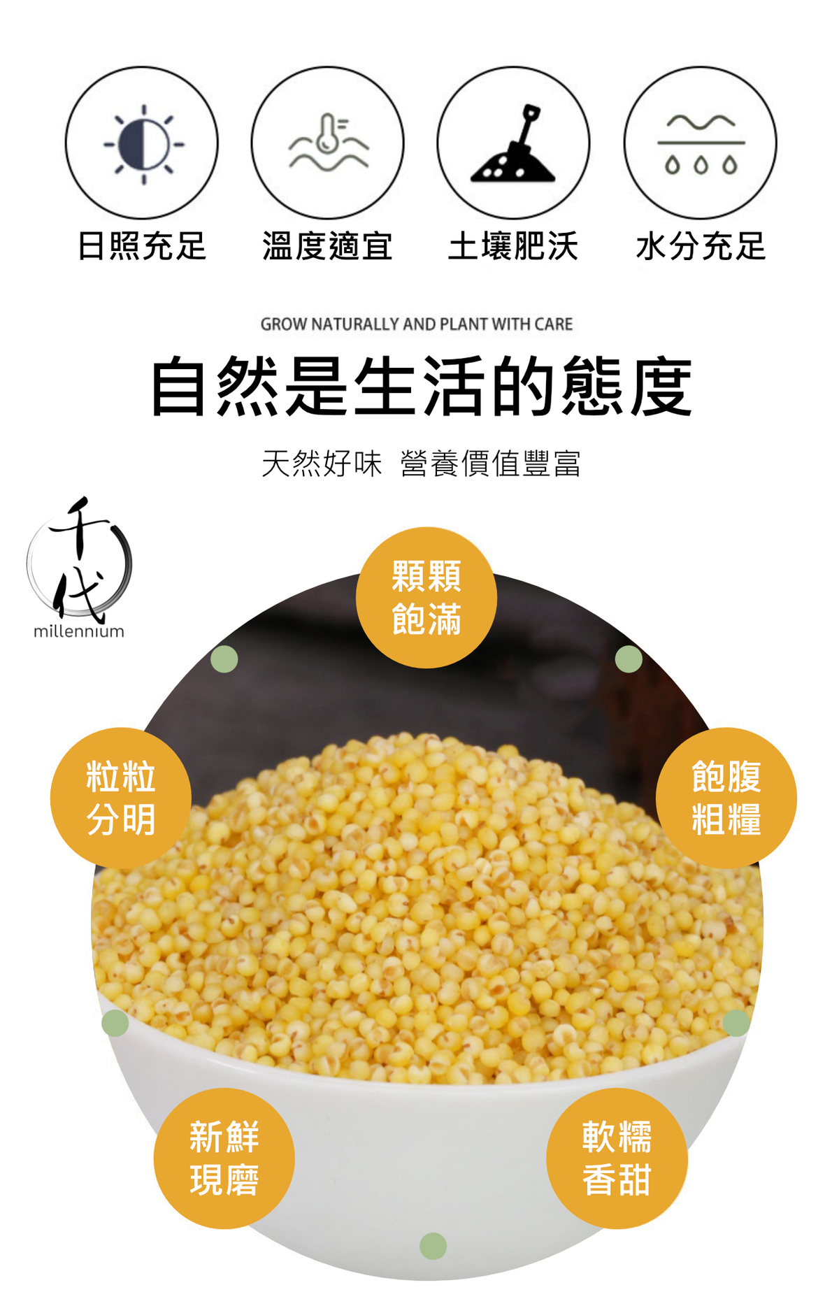 小黃米(真空包裝)(500G)│滋陰養血 健胃除濕│五穀雜糧