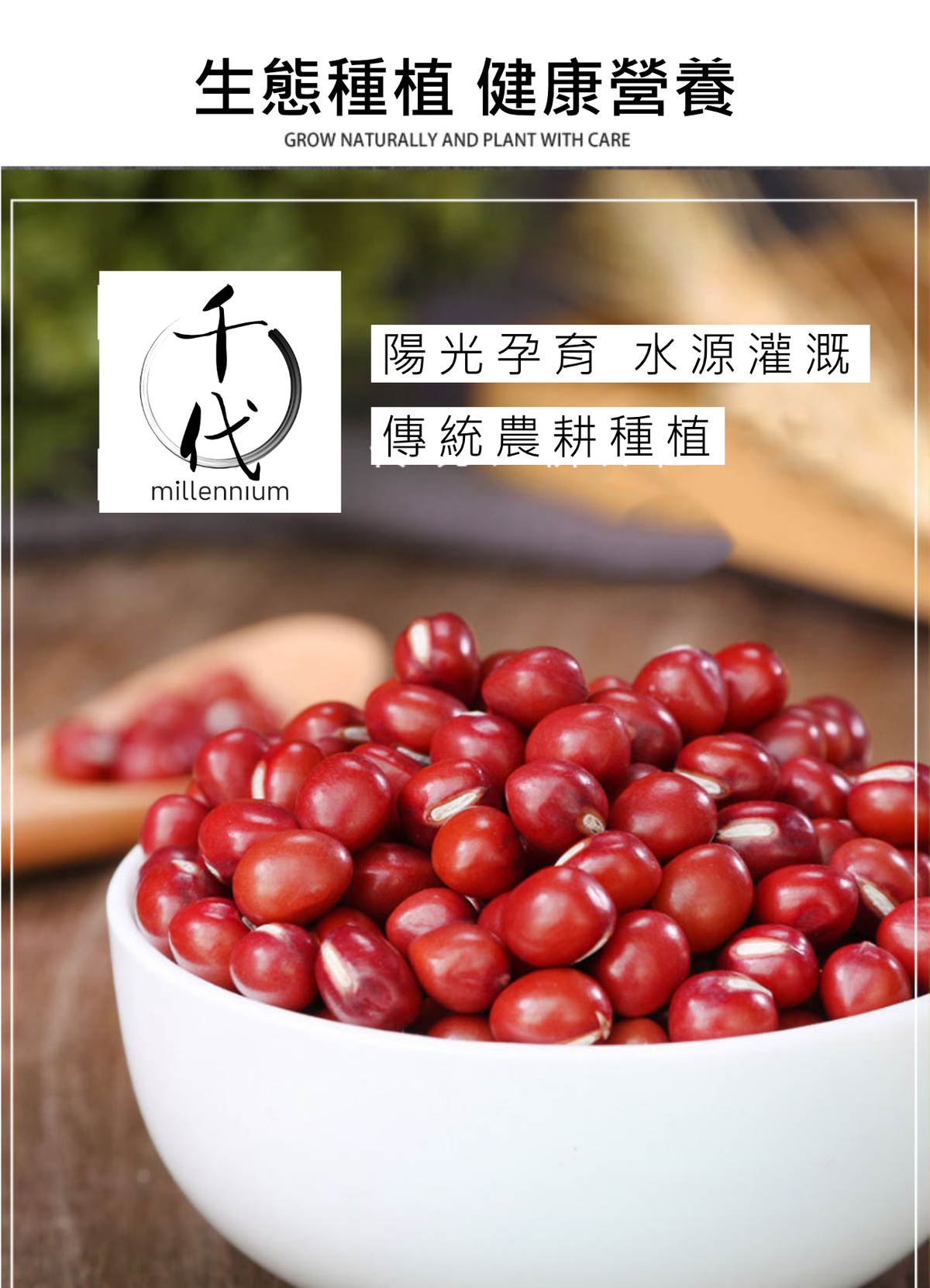 紅豆(真空包裝)(500G)│利尿消腫 清熱解毒│五穀雜糧
