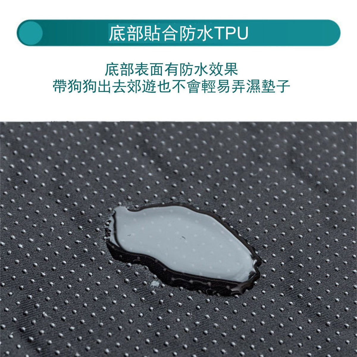 可重用寵物尿墊(米色│加大碼)│可洗重複使用│吸水隔尿墊│四層防水尿墊│快速吸水滲透│如廁訓練