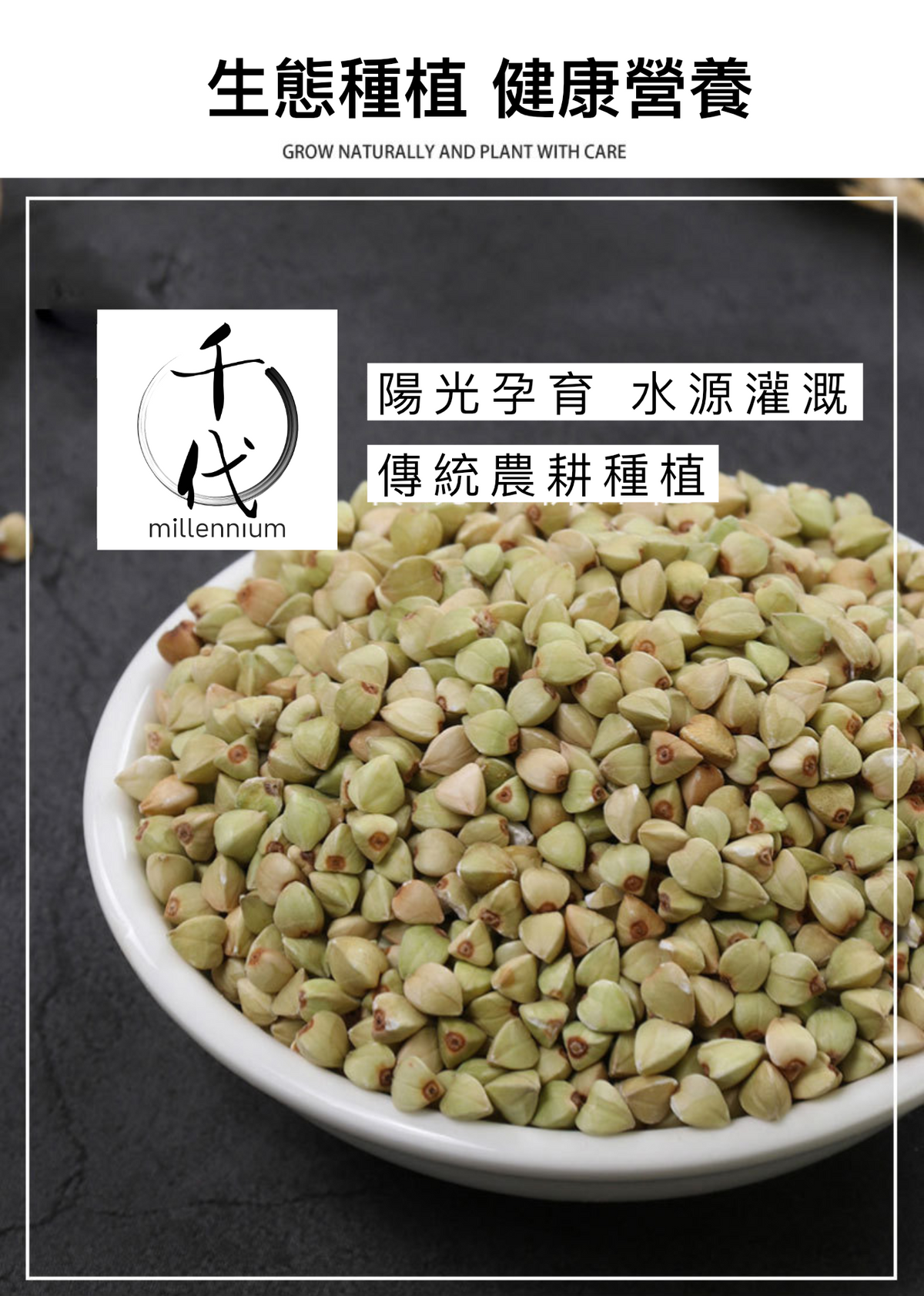 蕎麥米(真空包裝)(500G)│健脾益氣 開胃寬腸│五穀雜糧