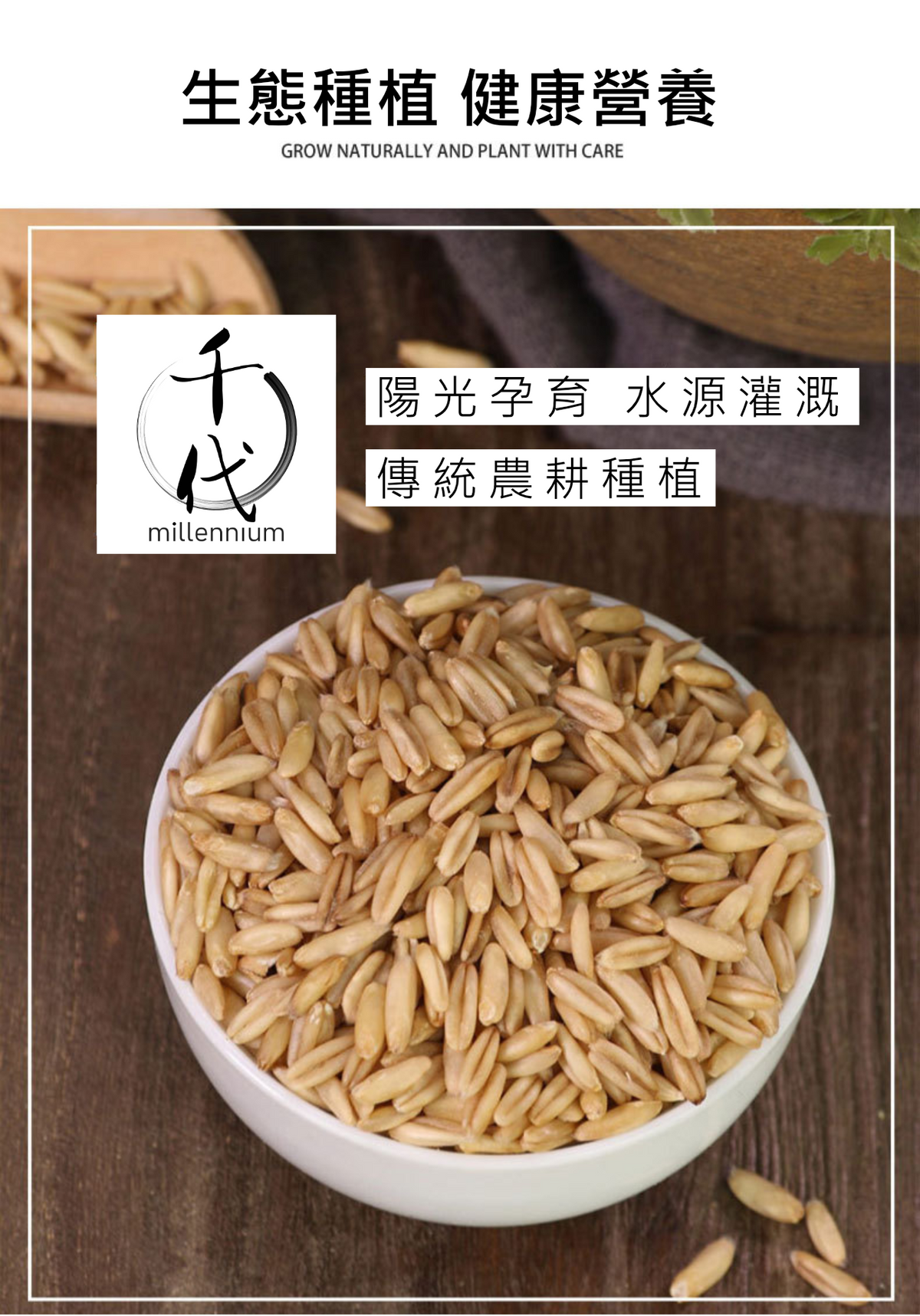 燕麥米(真空包裝)(500G)│降低膽固醇 有益心臟健康│五穀雜糧