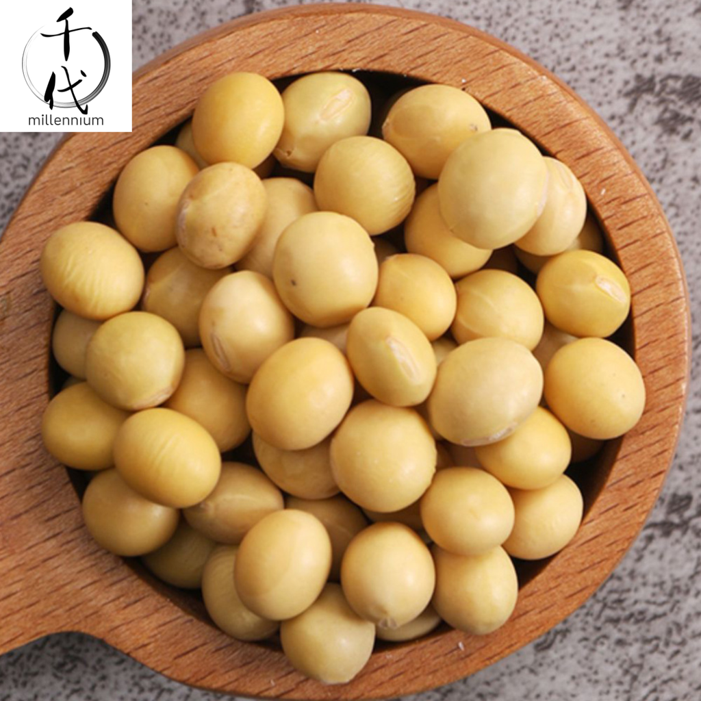 黃豆(真空包裝)(450G)│補氣健脾 養血潤燥│五穀雜糧