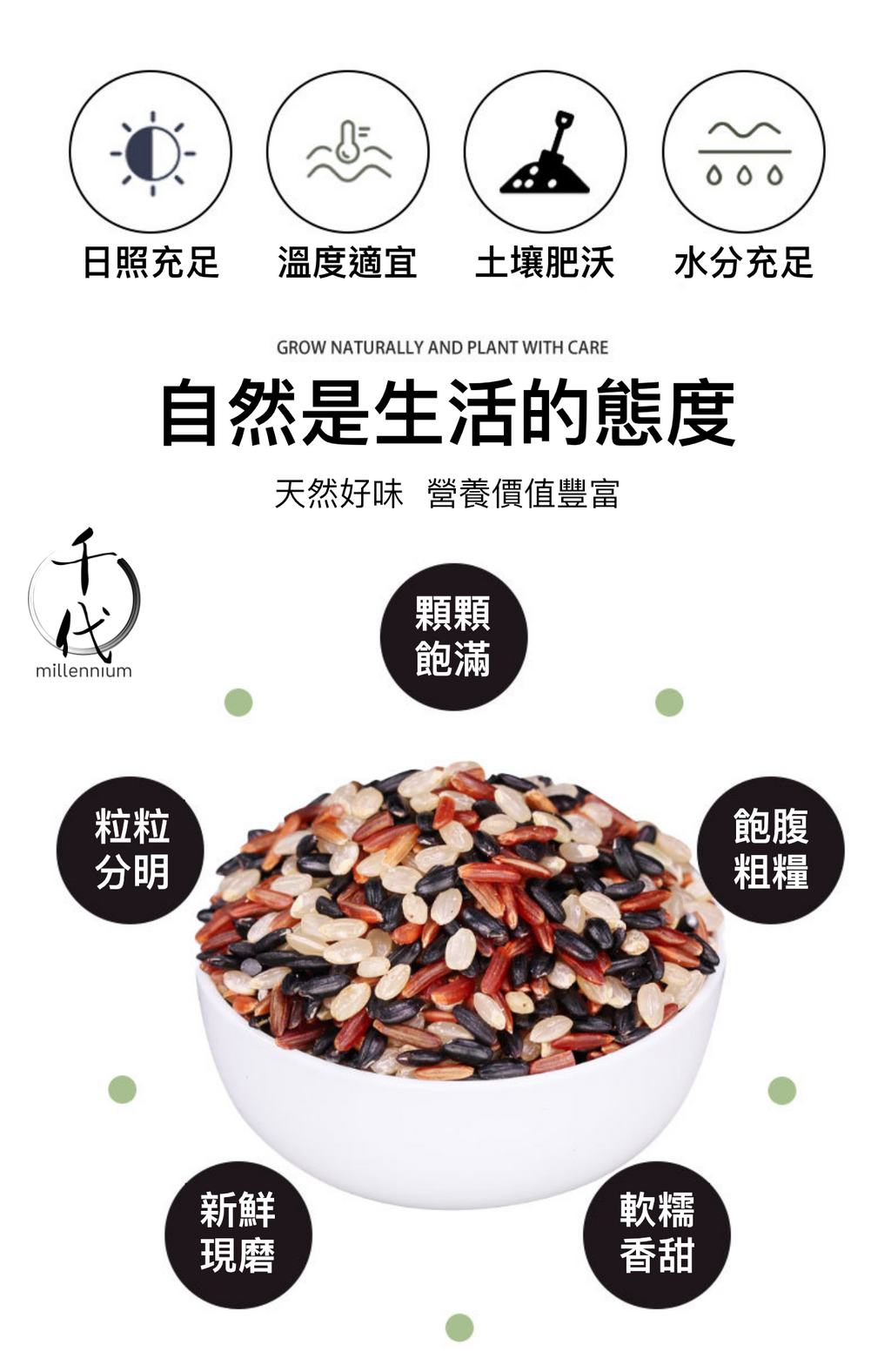 三色糙米(真空包裝)(500G)│有助心臟及腸道健康│五穀雜糧