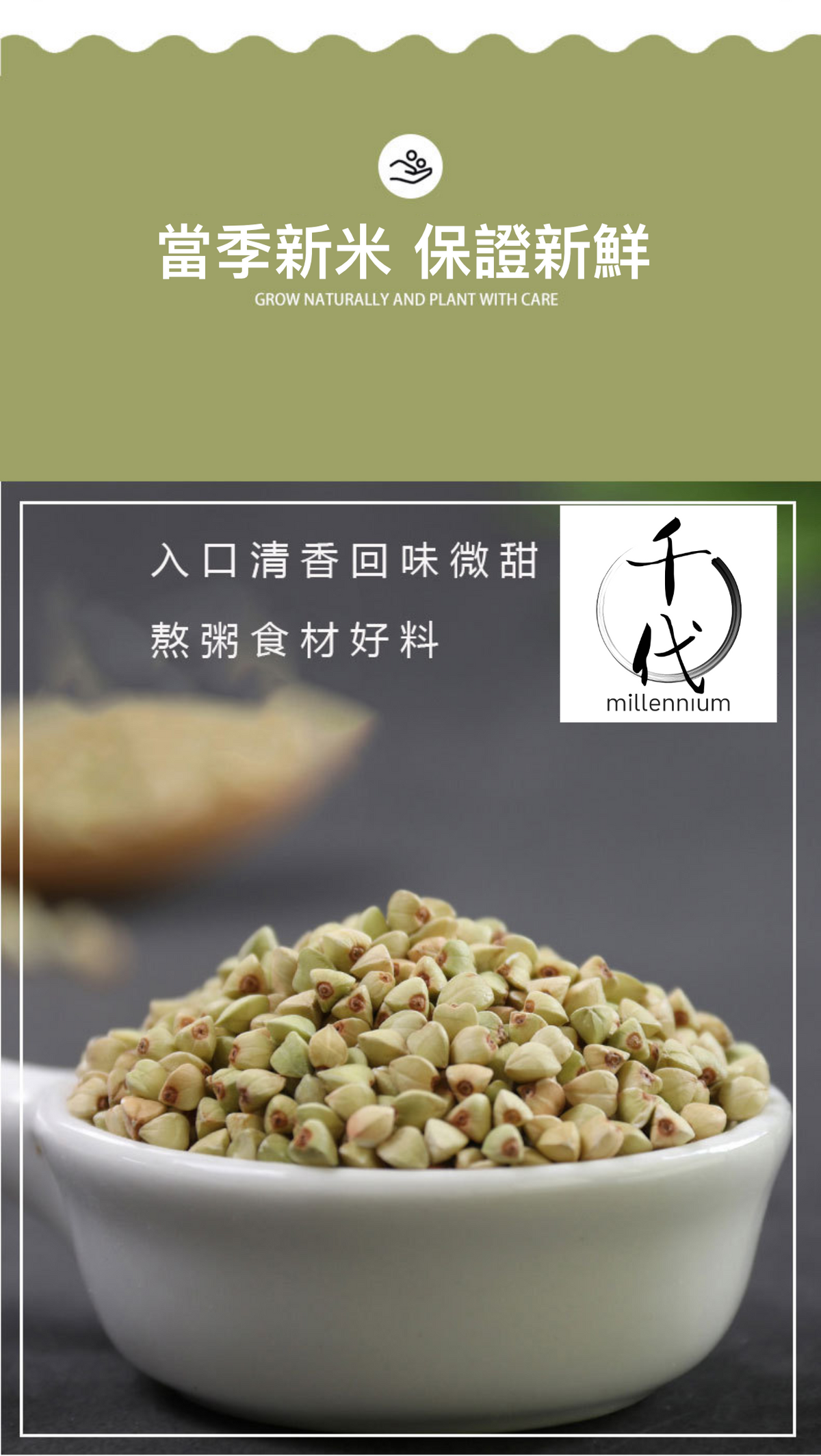 蕎麥米(真空包裝)(500G)│健脾益氣 開胃寬腸│五穀雜糧