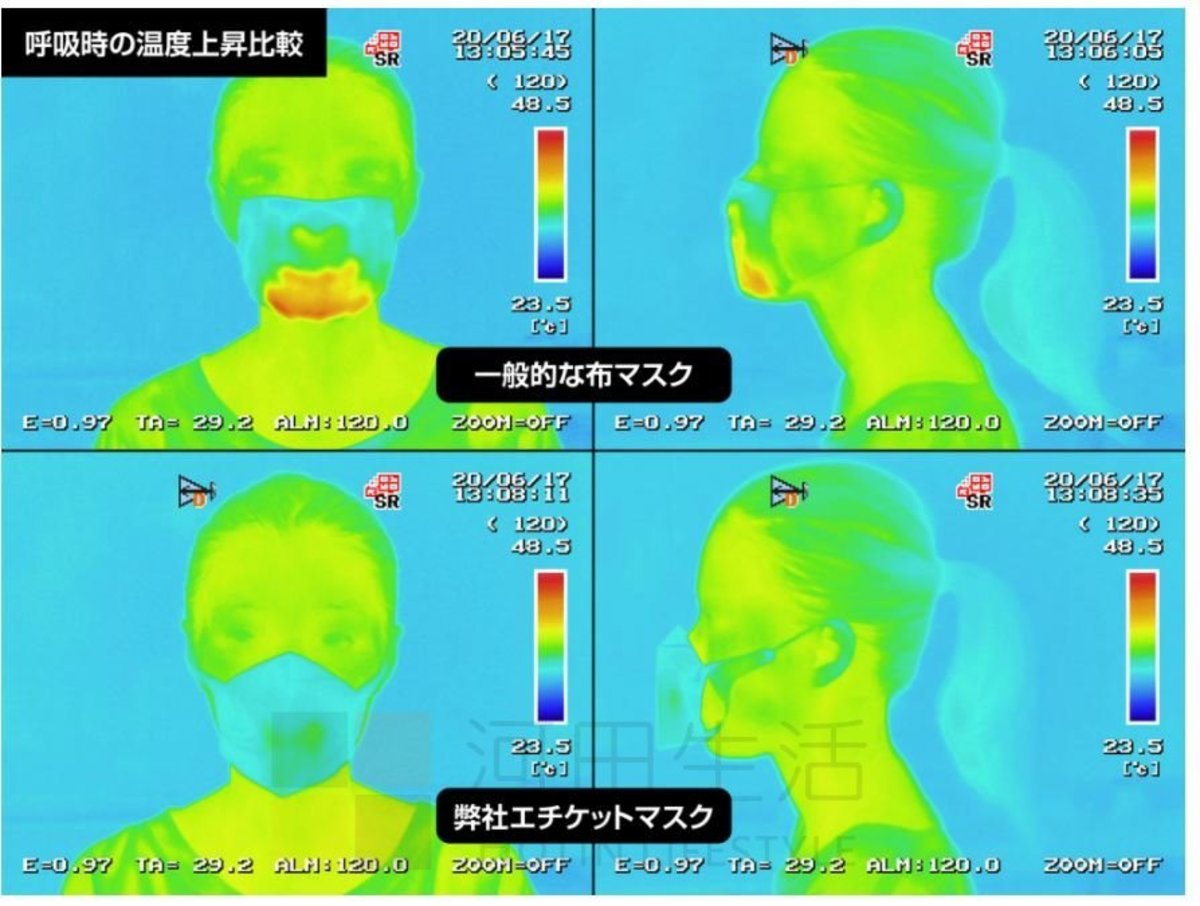 3D立體透明防飛沬口罩GH05T |電視主持同款禮儀口罩 |L碼可重複使用 (平行進口)