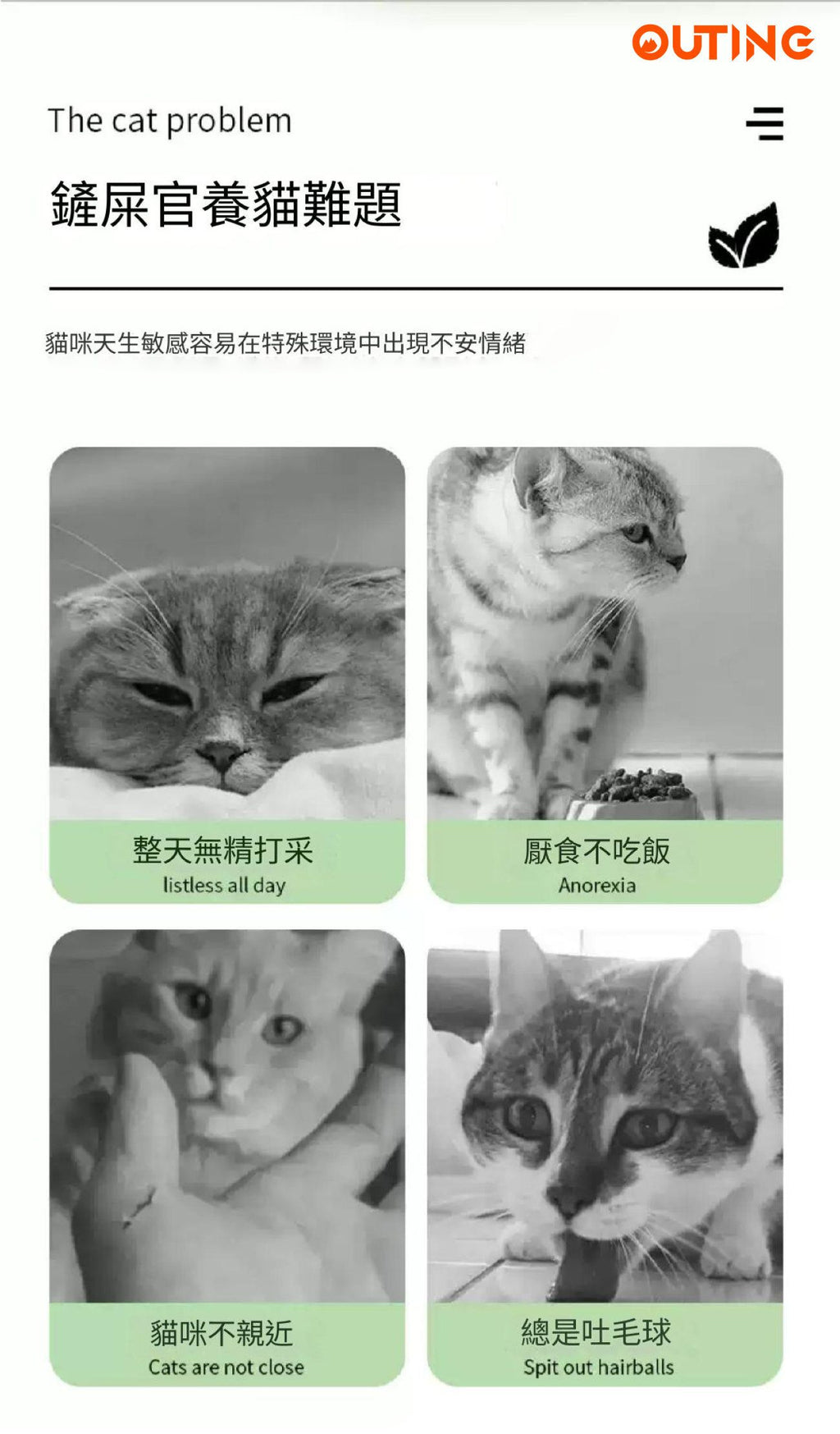 貓薄荷誘惑噴劑│玩具噴劑│薄荷噴霧│訓練噴霧│吸貓神器