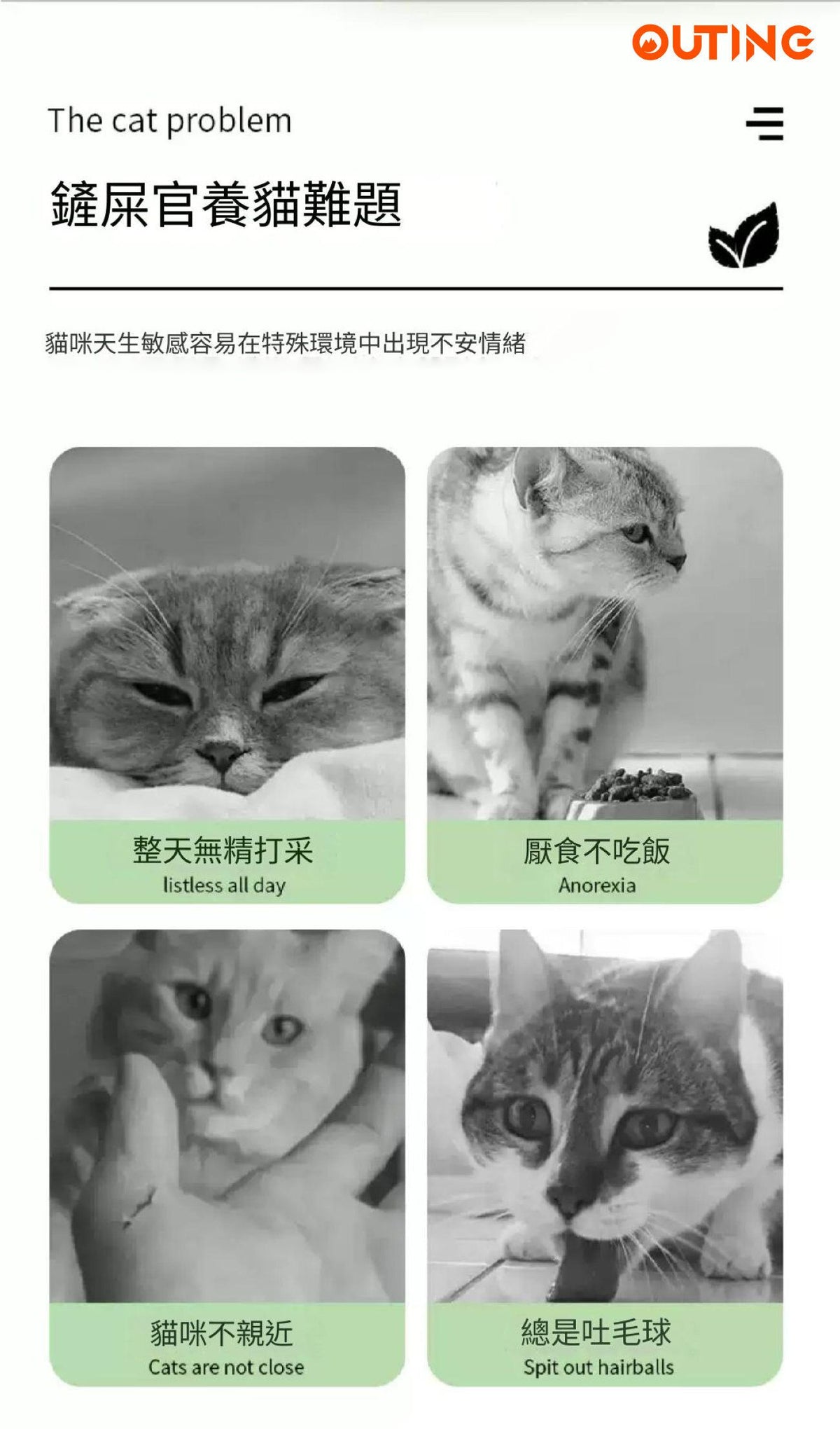 貓薄荷誘惑噴劑│玩具噴劑│薄荷噴霧│訓練噴霧│吸貓神器