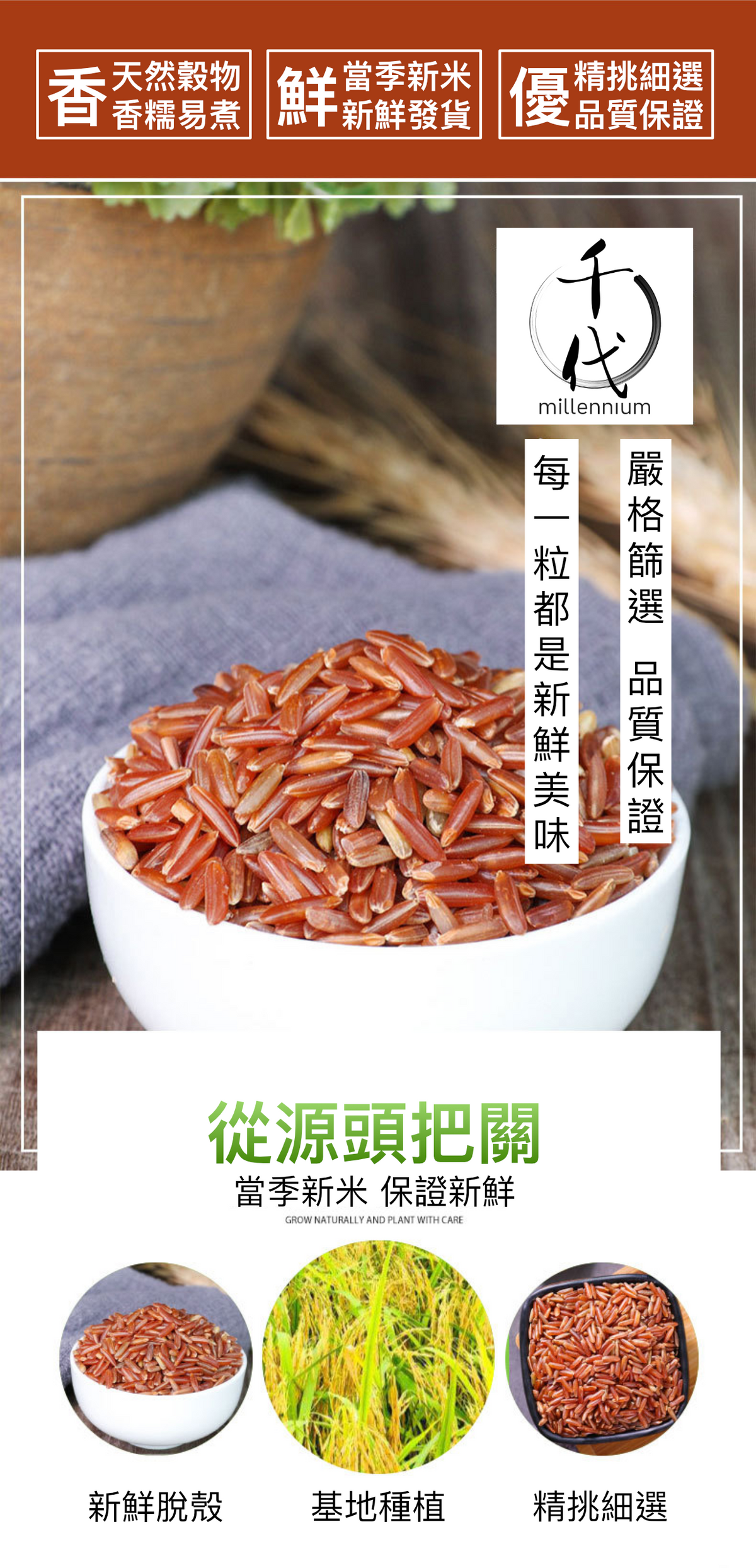 紅米(真空包裝)(500G)│活血化瘀 健脾消食│五穀雜糧