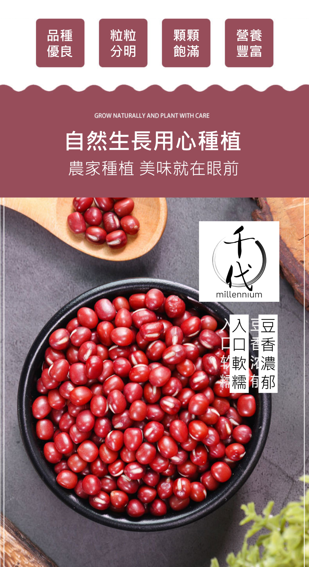 紅豆(真空包裝)(500G)│利尿消腫 清熱解毒│五穀雜糧
