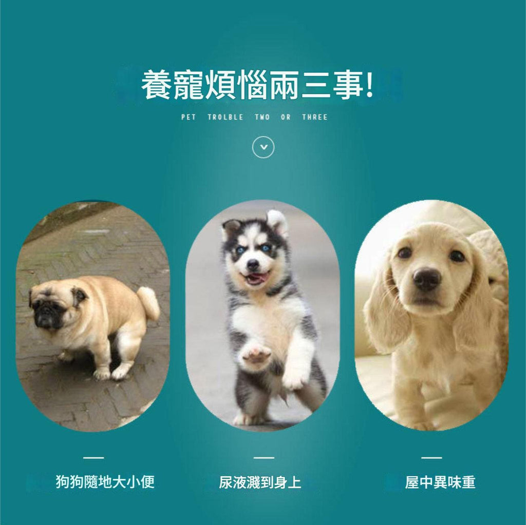 可重用寵物尿墊(米色│加大碼)│可洗重複使用│吸水隔尿墊│四層防水尿墊│快速吸水滲透│如廁訓練